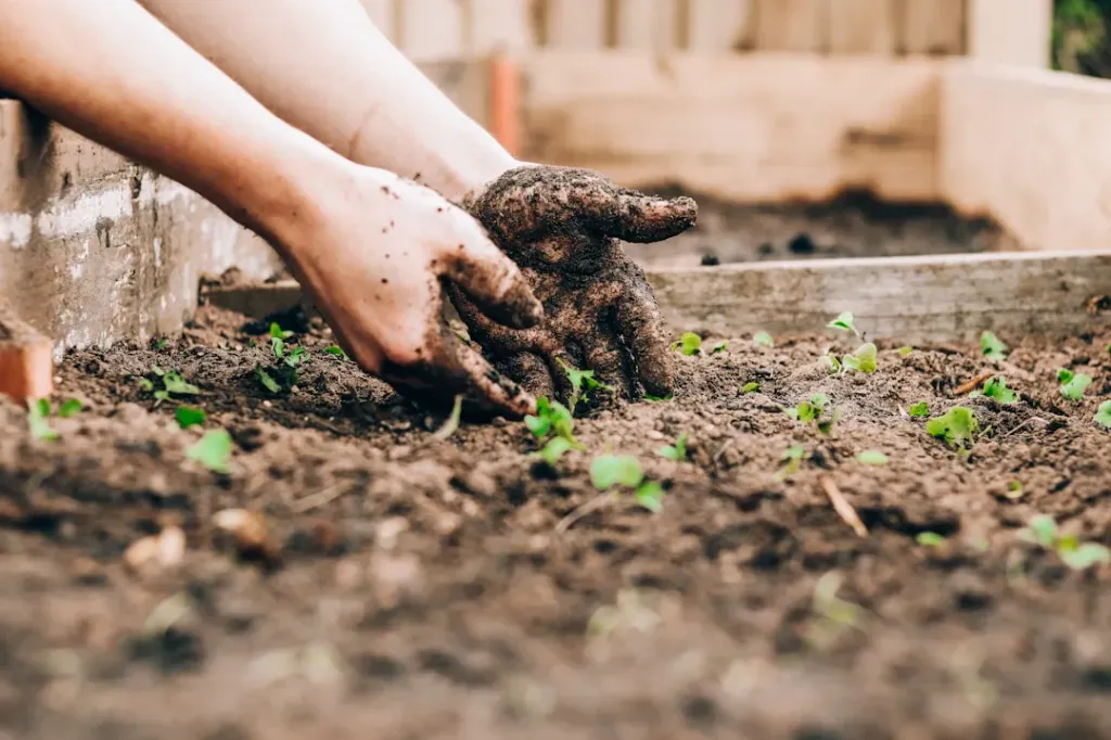 Właściwości i zastosowanie agroperlitu
